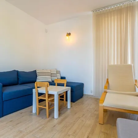 Geranium Holliday * Obrochishte