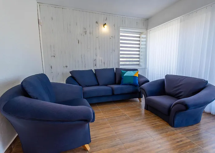 Geranium Holliday Obrochishte