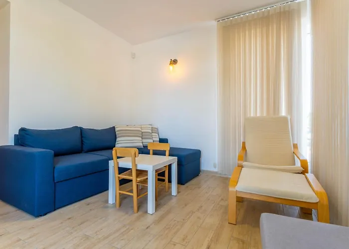 Geranium Holliday * Obrochishte