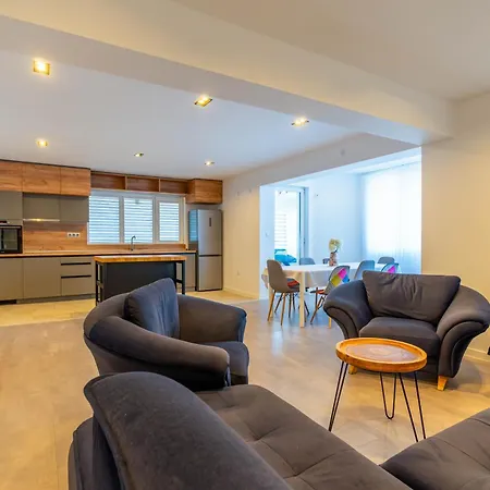 Geranium Holliday فيلة Obrochishte