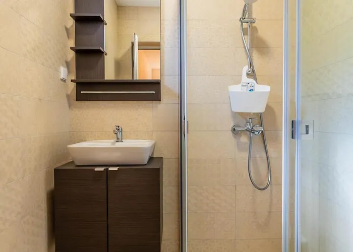 Geranium Holliday Obrochishte